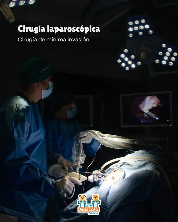 Cirugía laparoscópica de mínima invasión