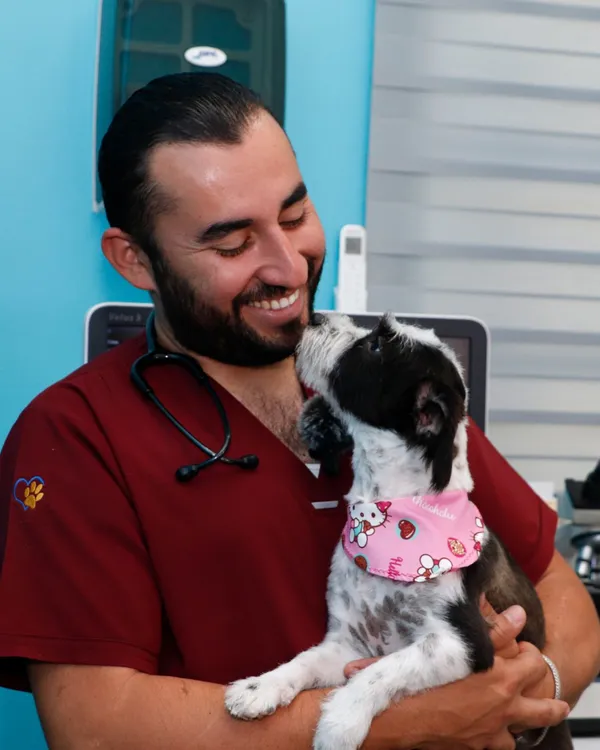 Médico veterinario en consulta con un paciente