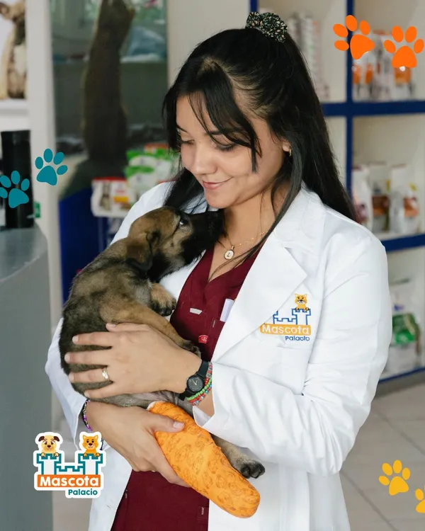 Médica veterinaria con un cachorro en brazos