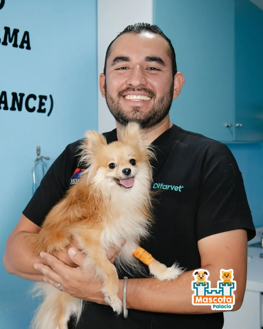 Médico sonriente con un perrito pomerania en brazos