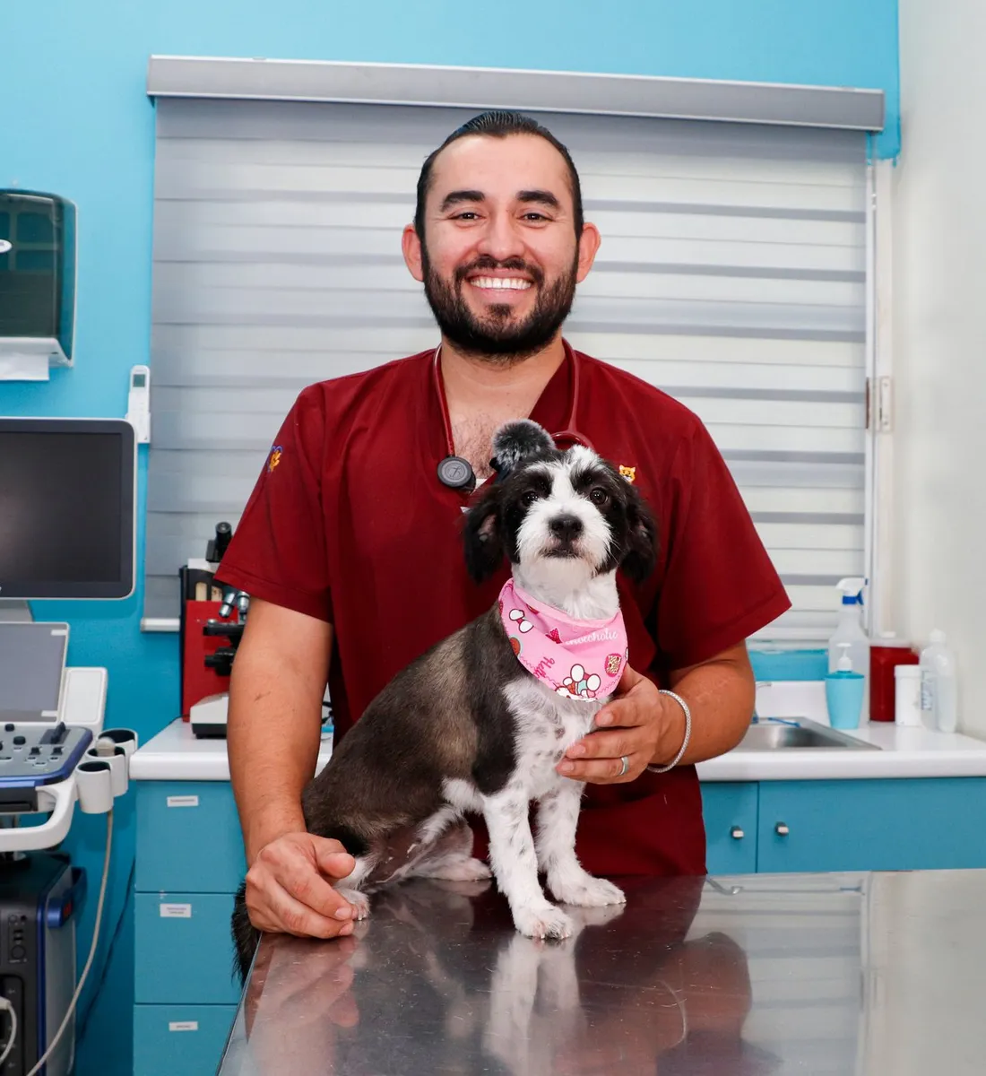 Veterinario de Hospital Veterinario Mascota Palacio en consulta con un paciente