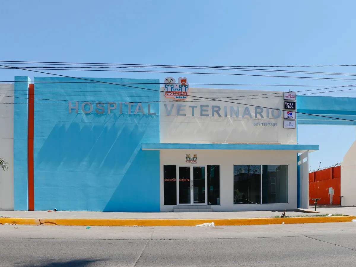 Fachada azul y blanca del Hospital Veterinario Mascota Palacio