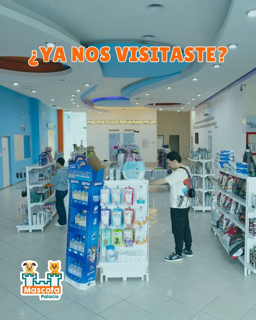 Recepción y tienda de Mascota Palacio por dentro, con estantes de alimento y accesorios