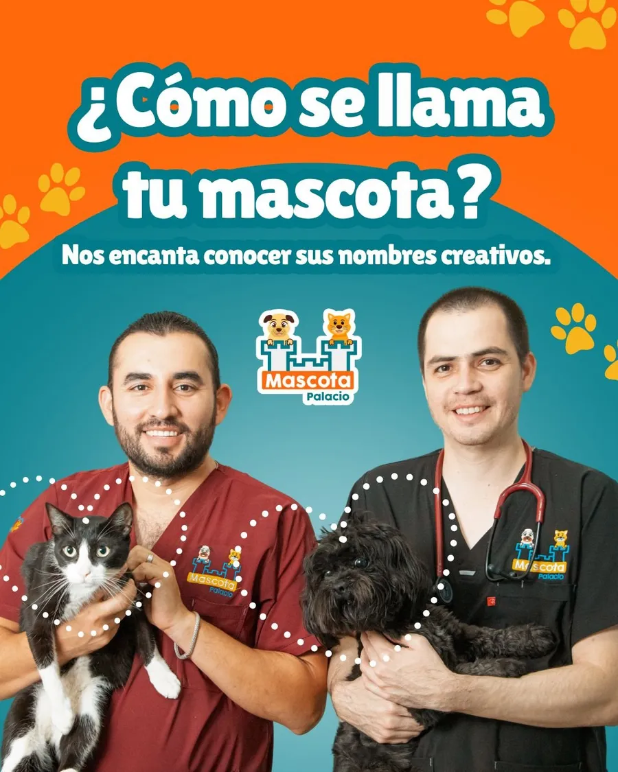 Dos médicos veterinarios sonriendo, cada uno con una mascota en brazos